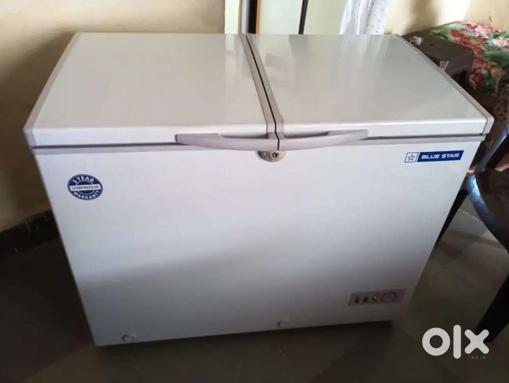 Blue star commercial deep freezer