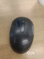 MOUSE FOR SELL