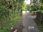 അങ്കമാലി, മൂക്കന്നൂർ ടൗണിനു സമീപം 10 സെന്റ് സ്ഥലം വില്പനക്ക്