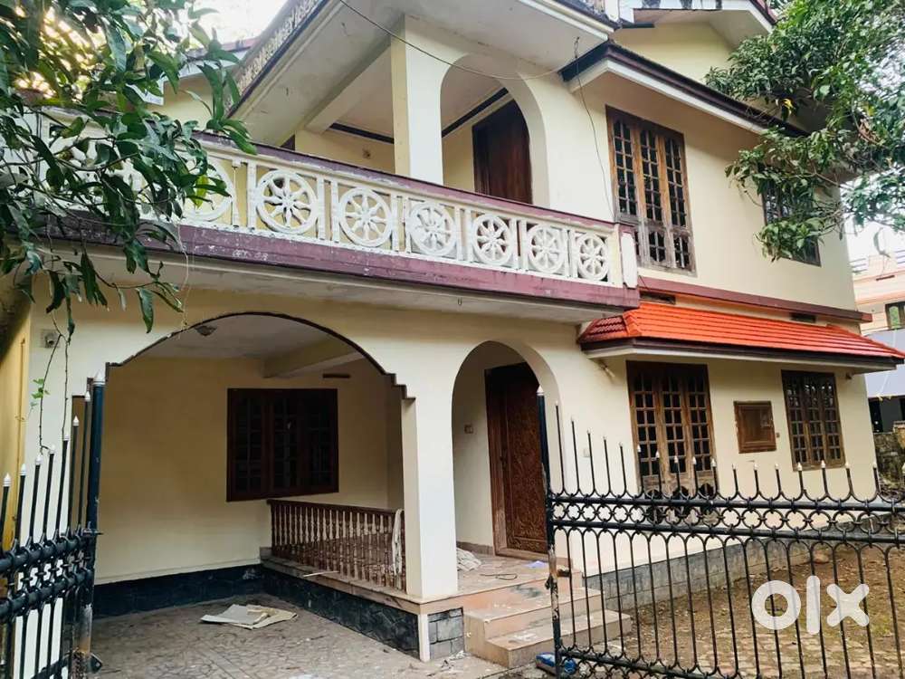 Near Thrissur Town or patturaikkal ( bachelor pg )