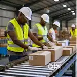 Picker and packer job-vijay