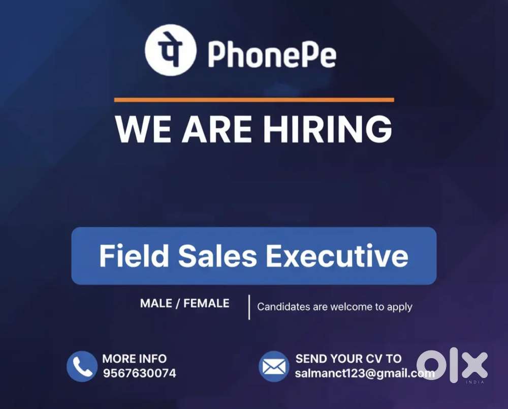 Field sales executive