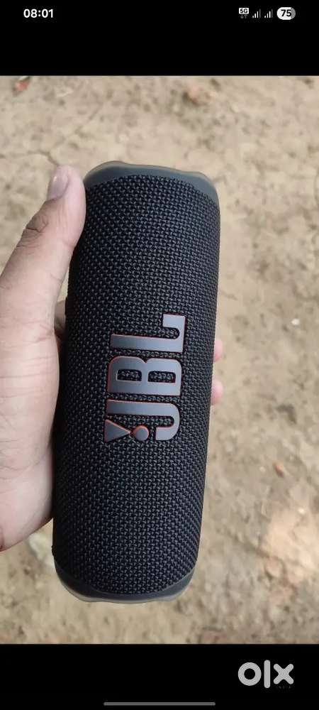 Jbl flip 6