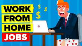 pvt ltd required urgent 185 Male fresher candidate job/homebased