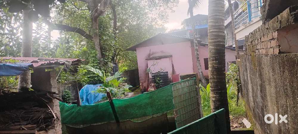 For sale      OPPOSITE SBI  NELLIMOODU