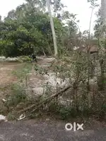 15 cent Plot for sale in Kanjikkuzhi, Cherthala