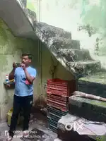 All area coverd.. only open ladders area
