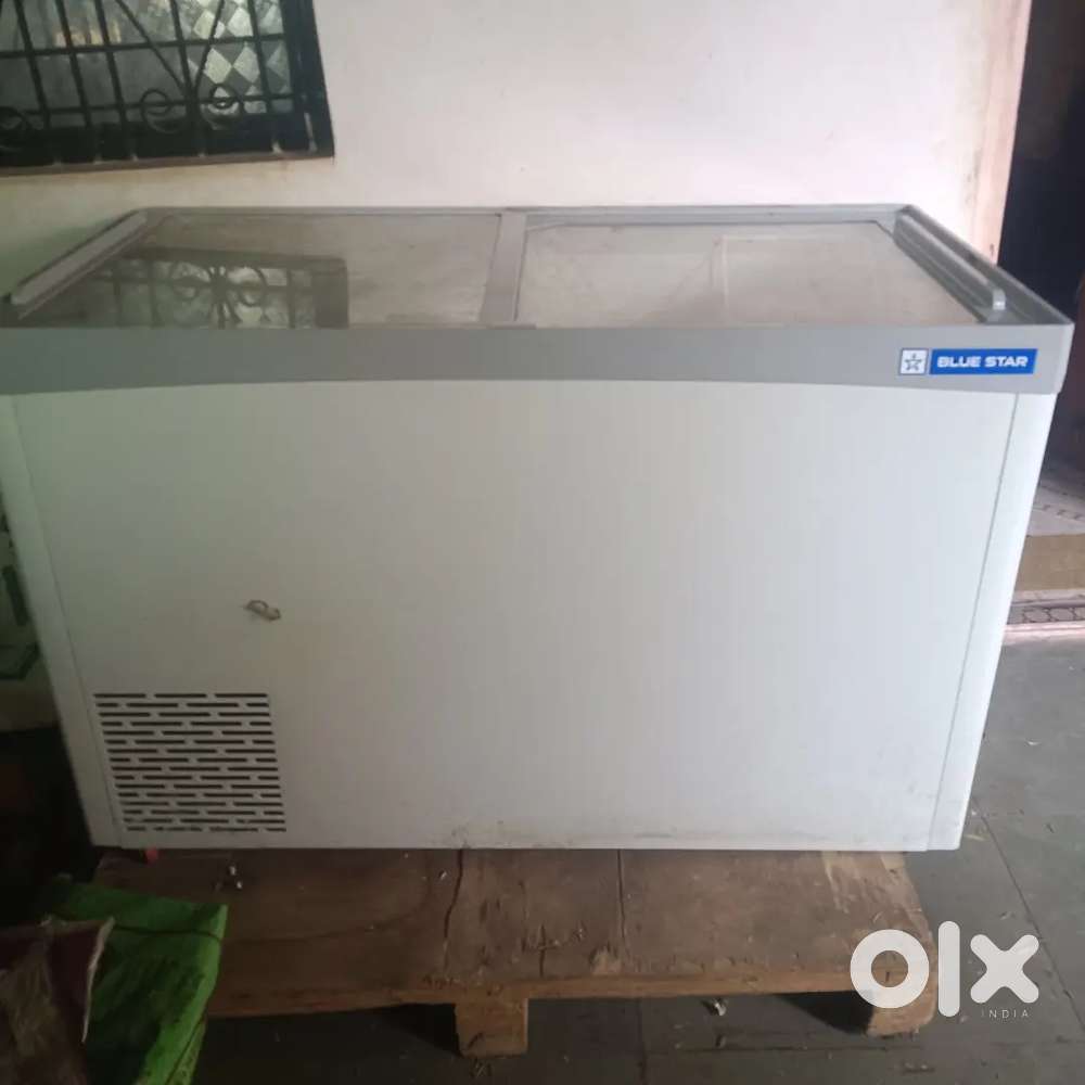 Blue Star 330–590L Deep Freezer  Almost New  Quick Deal Available