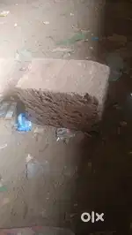 banno edtho pokko