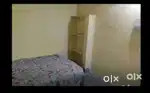 Two albestar rooms and one bathroom for rent