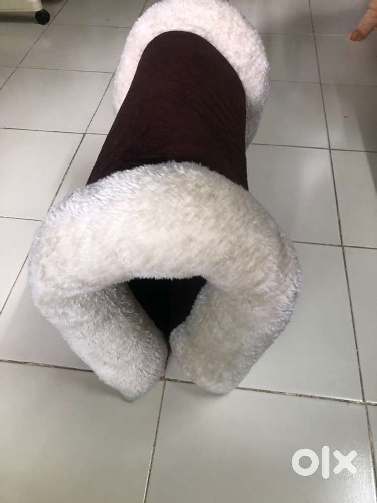 Persian adult cat bed