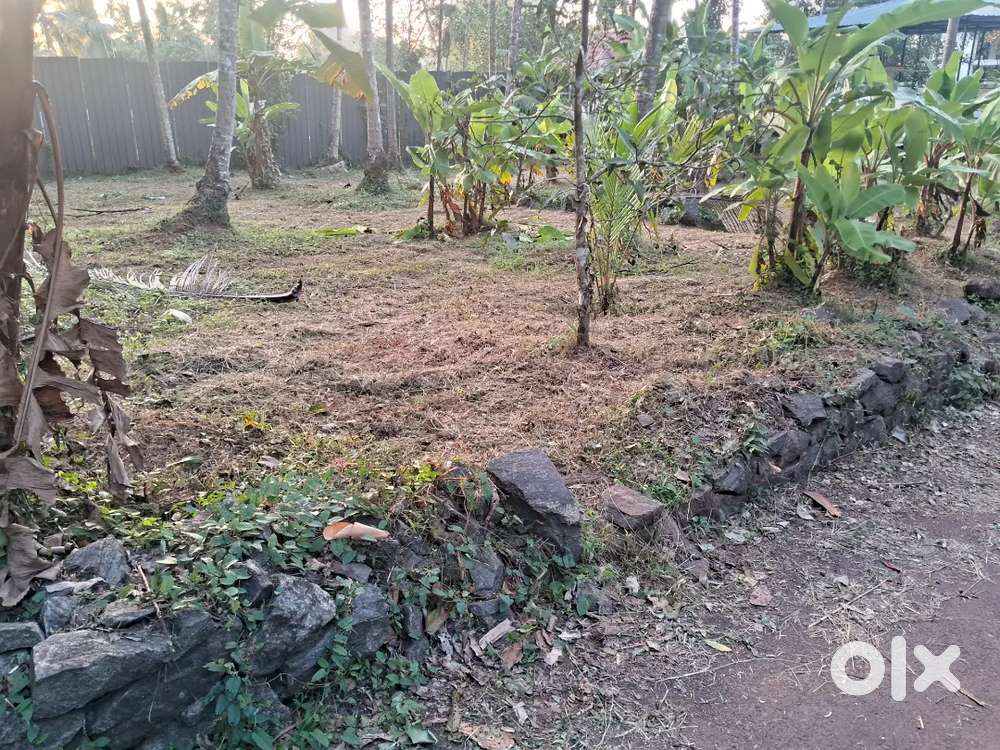 10/20 cent near chevayur, kozhikode