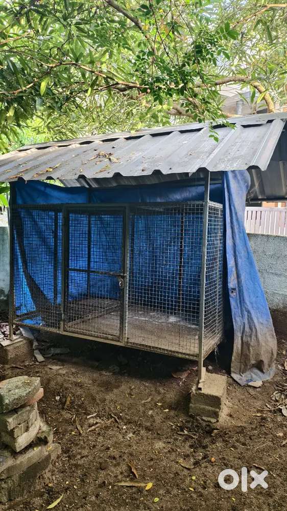 Dog Cage for sale
