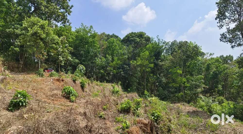 45സെന്റ് സ്ഥലം, എല്ലാ വാഹനങ്ങളും വരുന്നത്.