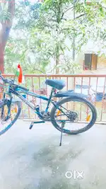 Male roomate required