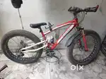 26 tyre size fat bike