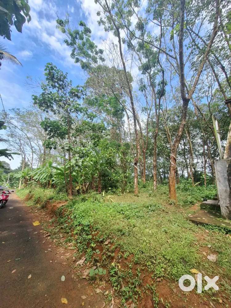 Plot for sale near Mar Sleeva Medicity Pala