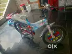 Rockstar brand new bycycle