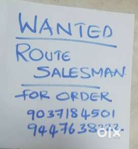 Distributor sales man for a distribution