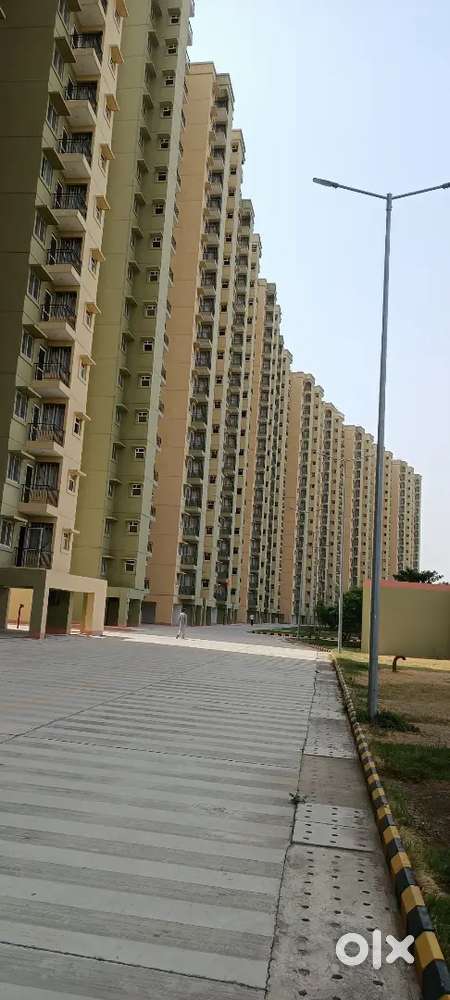 Flats good condition & Park
