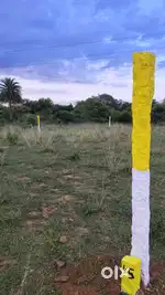 Plot sale @ thakkolam main road