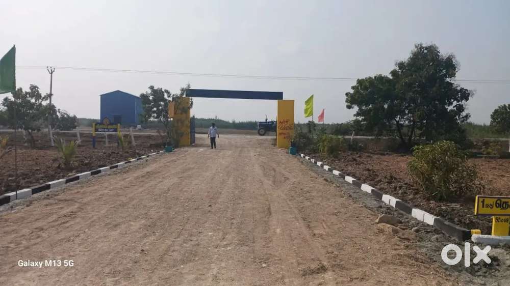 Low budget plots for future investment
