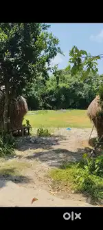 1.6 bigha land in bortola