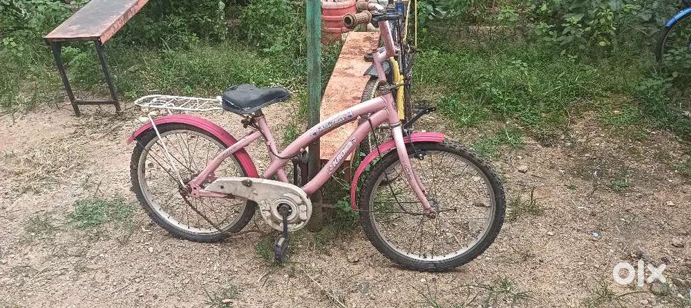 Selling 2 bicycles (BSA & LADY BIRD)