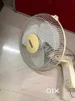 Fan wall mounted