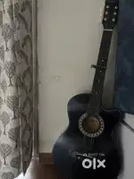 Photron acoustic guitar