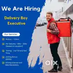 DELIVERY EXECUTIVE