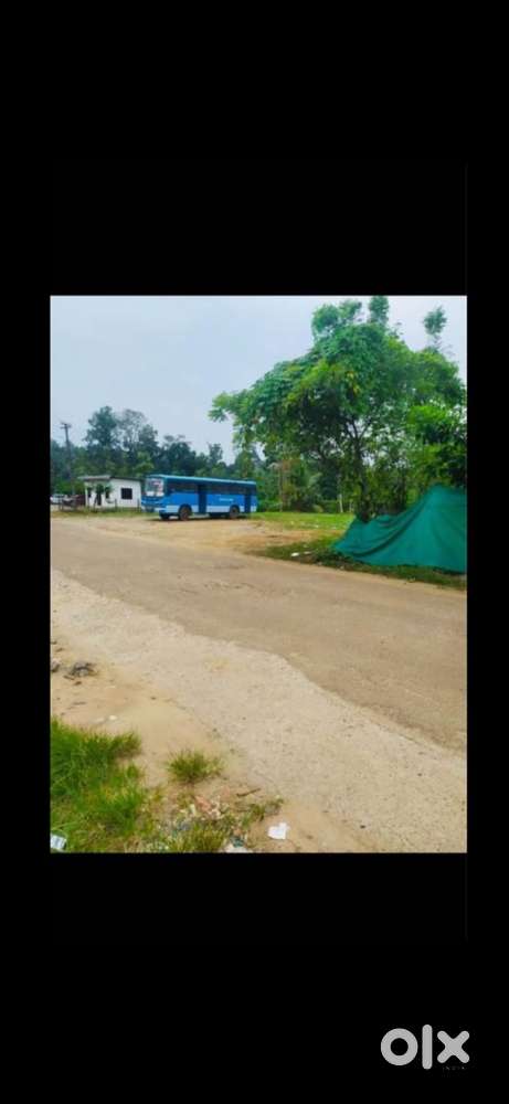 Roadside 20 Cent Land for Sale