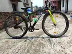Bicycle, 29 inches height