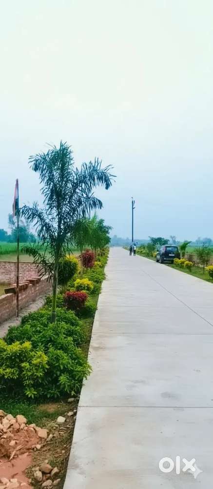 Zila panchayat approve site