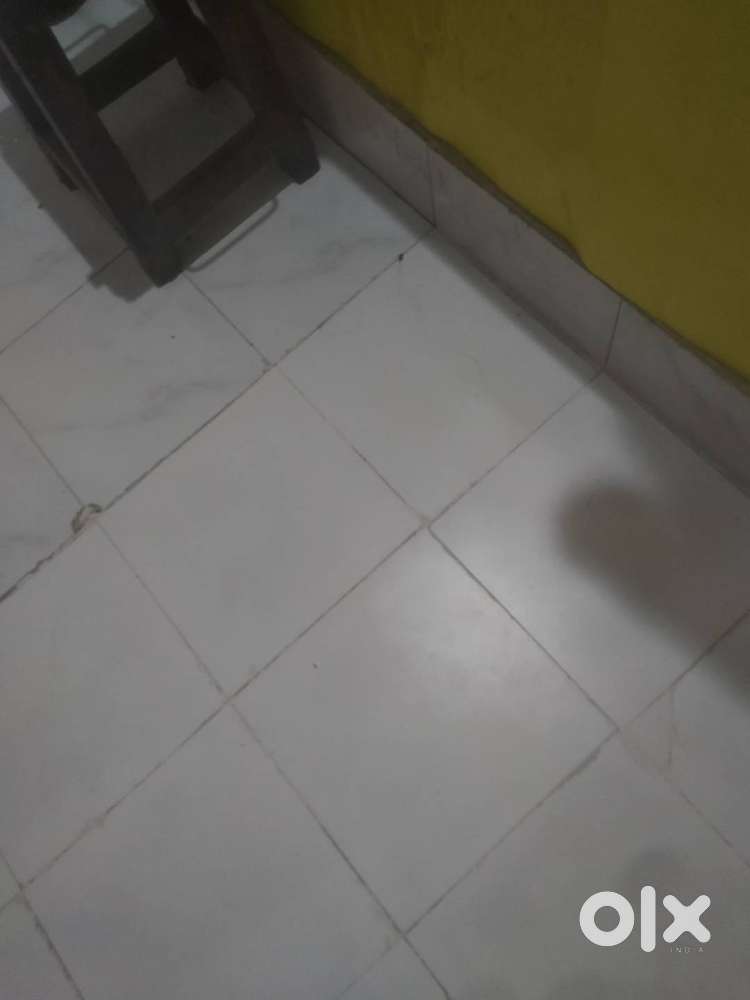 Makan rent 2500.3000.3500.2700.3800