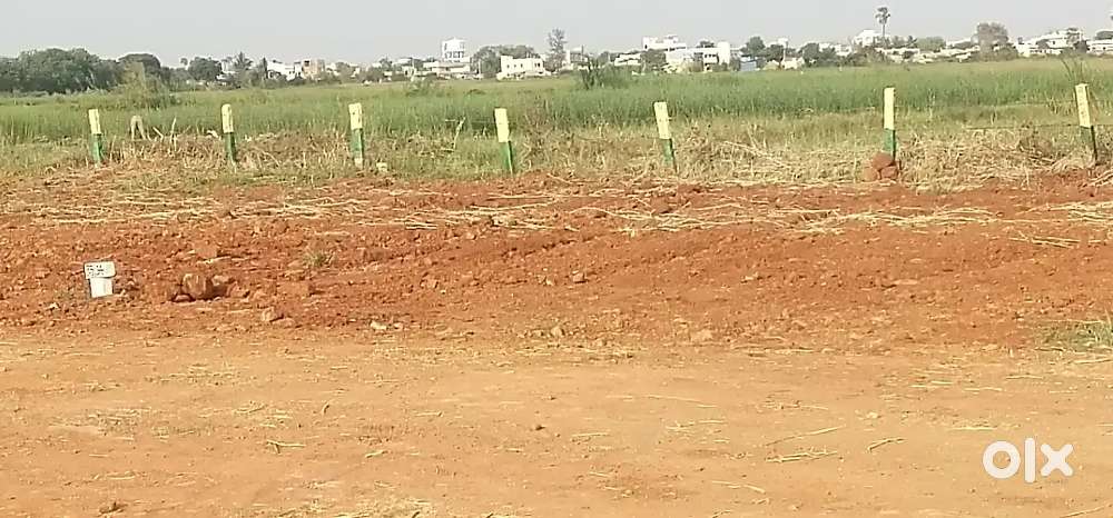 Near to pathapadu open plot available