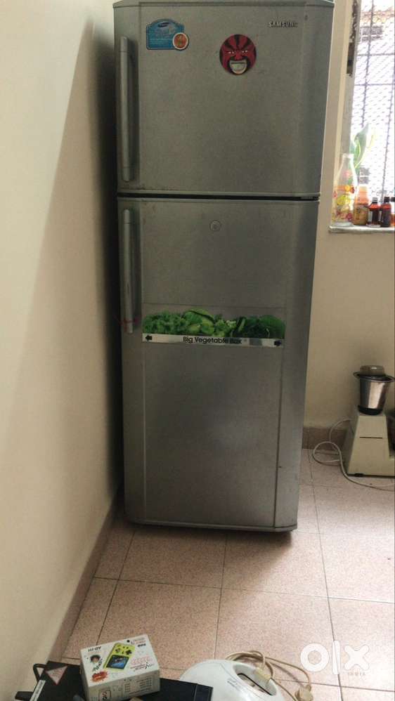 Fridge 250litres and microwave