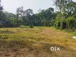 പാലാ പൊൻകുന്നം റോഡിൽ നിന്നും 3km മാറി 2acr സ്ഥലം വില്പനക്ക്