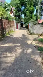 11 cents House plot for sale Thirumala