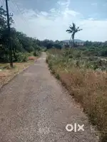 20 cent housing plot at thattumal padiyottichal