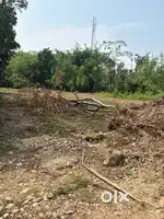 5bigha 8L empty high land for sale