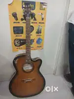 Guitar in budget