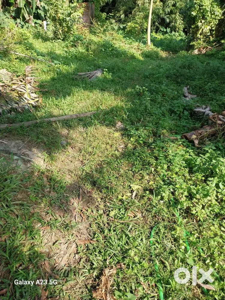 1.5 kotha land