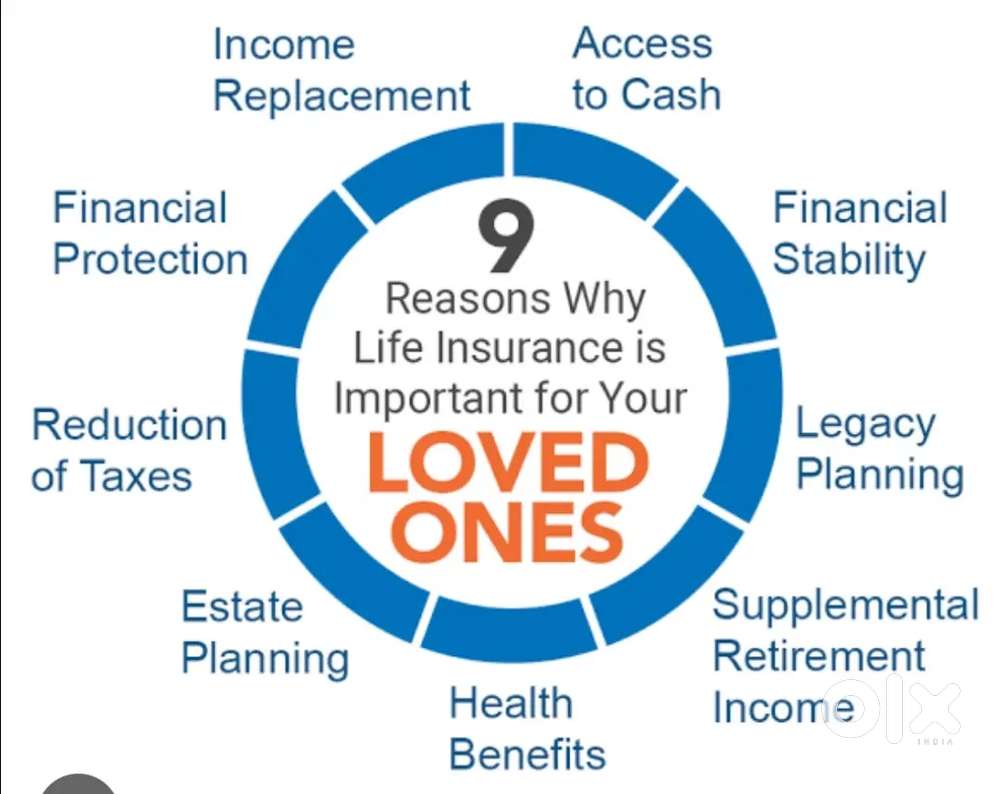 LIFE INSURANCE ADVISOR