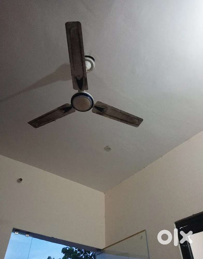 Need for roommate boys only