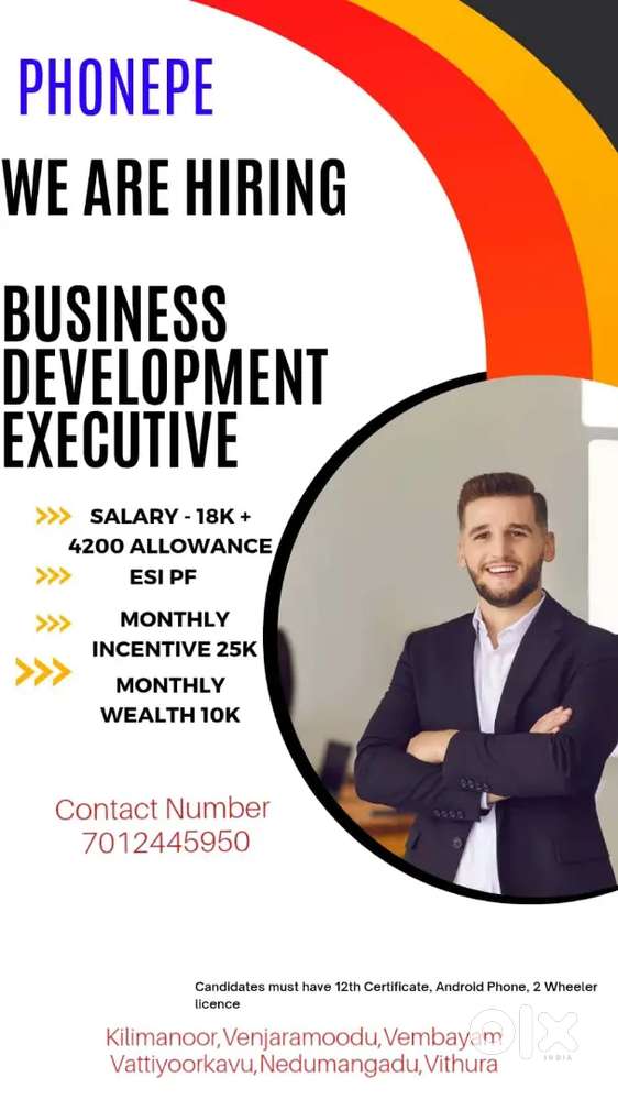 Business Development Executive at Phonepe