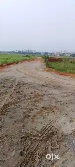 Plots sell