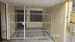 Rooms for Rent