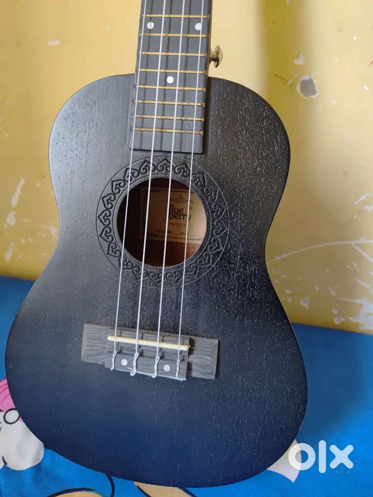 Music instruments ukulele