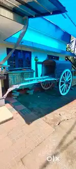 Vintage bull cart kalavandy